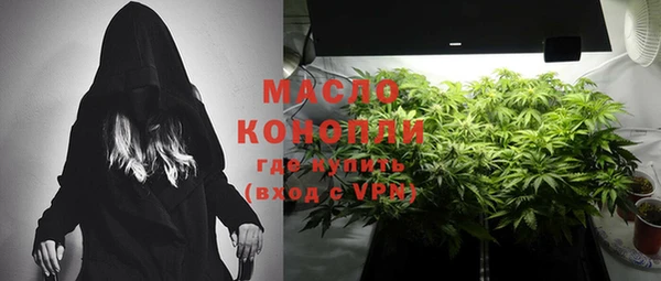 индика Каменка
