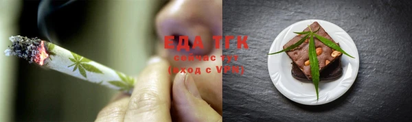 индика Каменка