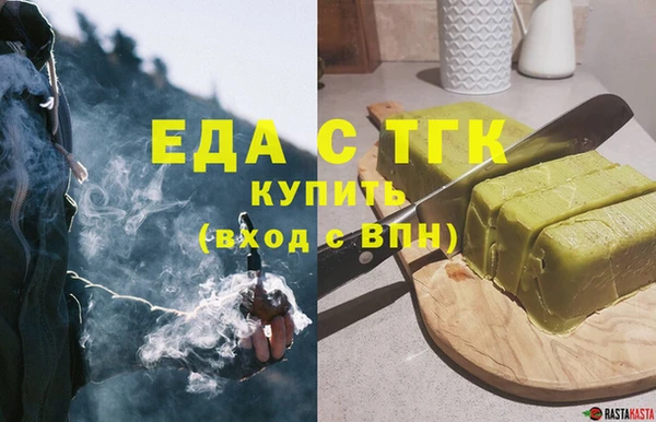 индика Каменка