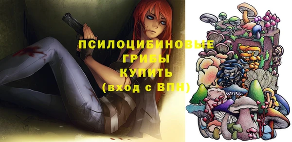 mix Козельск