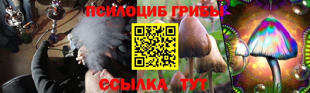 Псилоцибиновые грибы мицелий Карталы